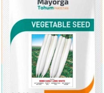 MINO EARLY LONG WHITE