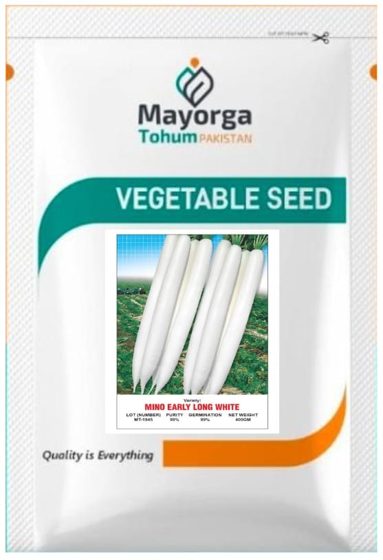 MINO EARLY LONG WHITE