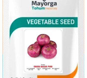 ONION NASAR PURI