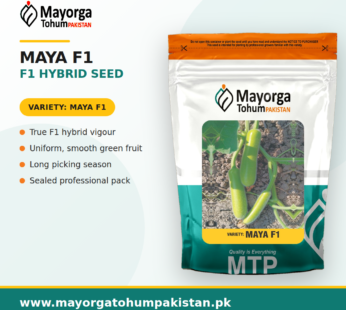 Maya F1 Hybrid Seed