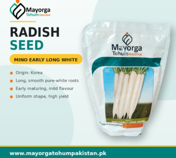 Radish Seed