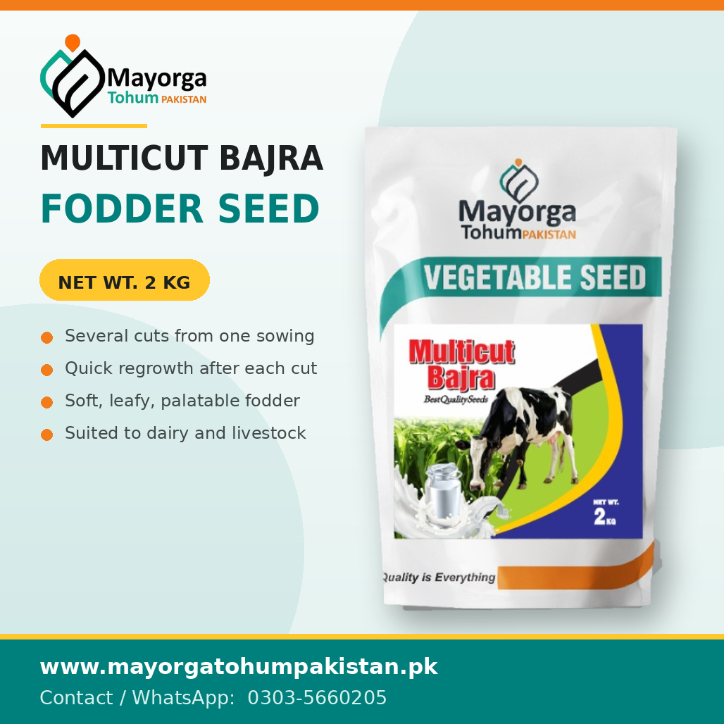 Multicut Bajra Fodder Seeds