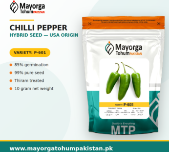 Chilli Pepper Hybrid Seeds USA Origin
