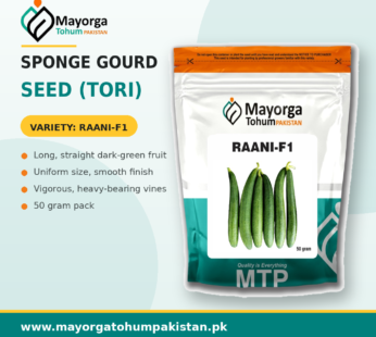 Sponge Gourd Seed (Tori)