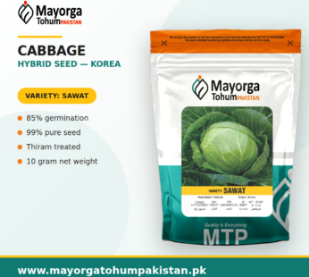 Cabbage Hybrid Seeds